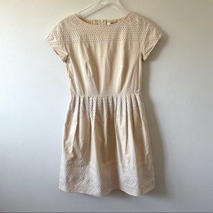 Madewell Yellow Eyelet Dress 4
